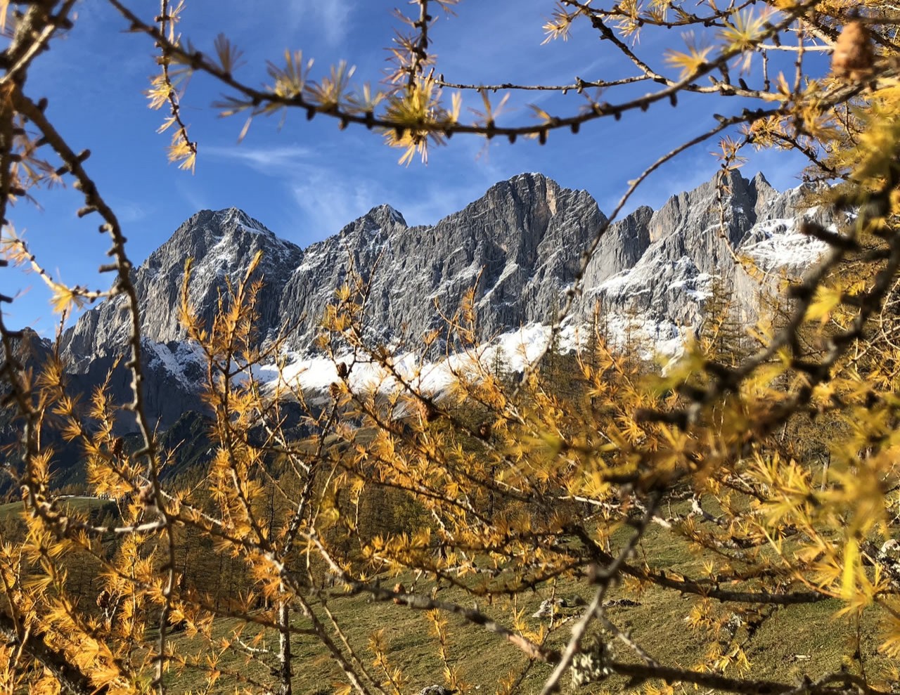 Das Dachsteinmassiv in Ramsau